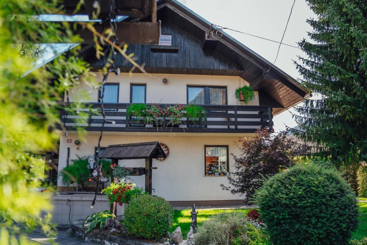 Apartma Borovc Mojstrana Ngoại thất bức ảnh