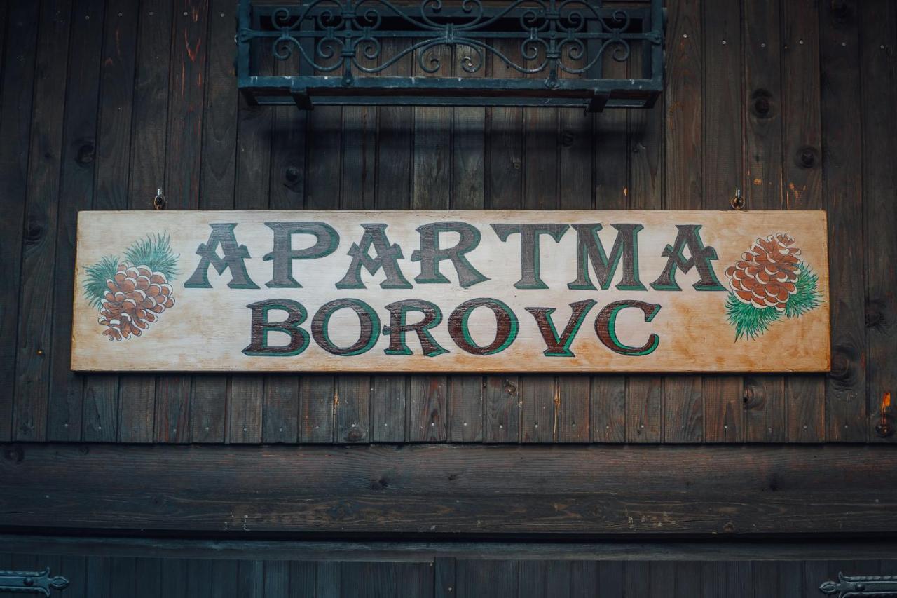 Apartma Borovc Mojstrana Ngoại thất bức ảnh